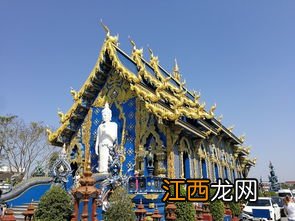 宗教文化中的一大类：多神教有哪些