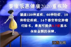 泰康乐惠健康2020保身故吗？