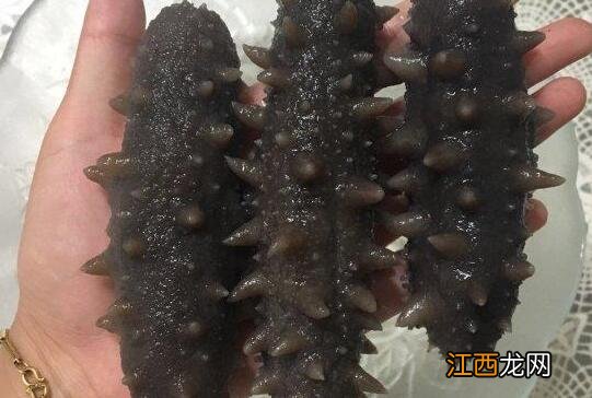 煮后的海参怎么保存多久