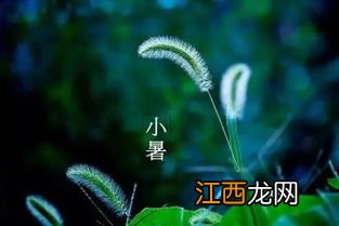 2022小暑节气起风好不好-小暑节气起风的讲究是什么