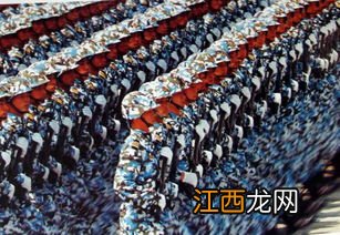 阅兵怎么没有海军 国庆阅兵有海军参与吗