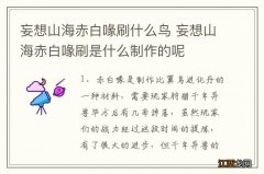 妄想山海赤白喙刷什么鸟 妄想山海赤白喙刷是什么制作的呢