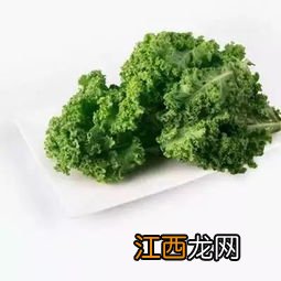 羽衣甘蓝粉和青汁哪个好-羽衣甘蓝哪些人不能吃