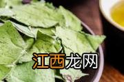 炖肉怎么去腥味 炖肉怎么做好吃