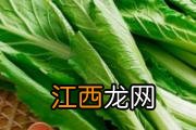 油菜和什么搭配炒好吃 油菜的家常做法