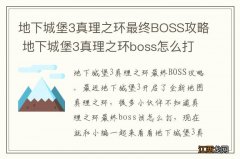 地下城堡3真理之环最终BOSS攻略 地下城堡3真理之环boss怎么打