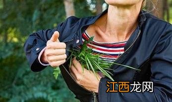 这12个野外急救措施 关键时刻真能救命