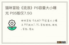 猫咪冒险《流浪》PS容量大小曝光 PS5版仅7.5G