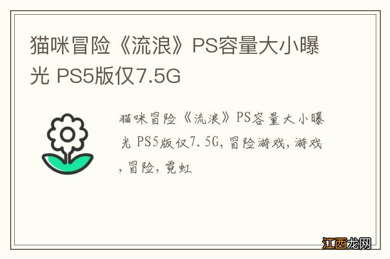 猫咪冒险《流浪》PS容量大小曝光 PS5版仅7.5G