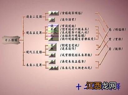 十二因缘与三世因果关系是怎样的？