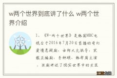 w两个世界到底讲了什么 w两个世界介绍