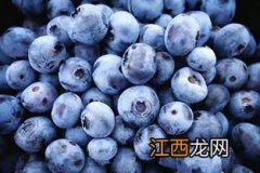 蓝莓表面的白霜是农药残留吗-蓝莓上的白霜是发霉了吗