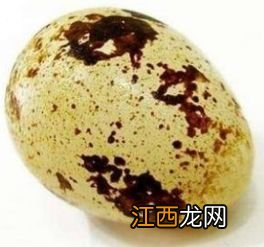 鹌鹑鸟与什么食物相克
