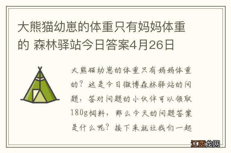 大熊猫幼崽的体重只有妈妈体重的 森林驿站今日答案4月26日