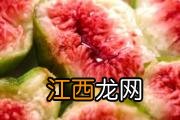 夏天吃苦味的东西好吗 夏天可以吃苦杏仁吗