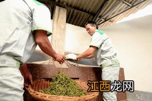 茶叶青味太重怎么办