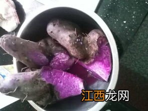 紫薯烘干需要多久