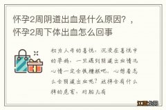 怀孕2周阴道出血是什么原因？，怀孕2周下体出血怎么回事