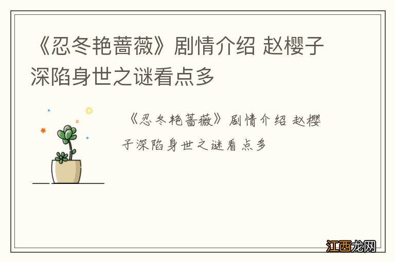 《忍冬艳蔷薇》剧情介绍 赵樱子深陷身世之谜看点多