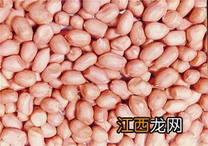 果仁花生用什么料