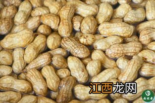 果仁花生用什么料