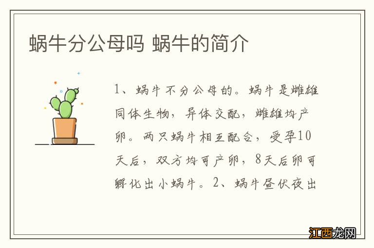 蜗牛分公母吗 蜗牛的简介