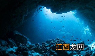 世界上最深的海沟是哪个 世界上最深的海沟介绍