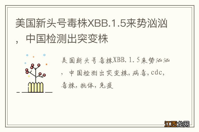 美国新头号毒株XBB.1.5来势汹汹，中国检测出突变株