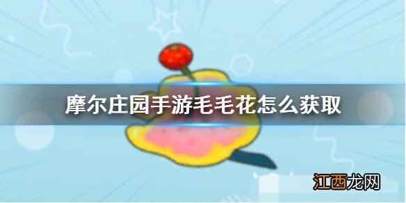 摩尔庄园手游毛毛花怎么获取 摩尔庄园毛毛花获取方法