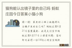 猫狗能认出镜子里的自己吗 蚂蚁庄园今日答案小猫小狗