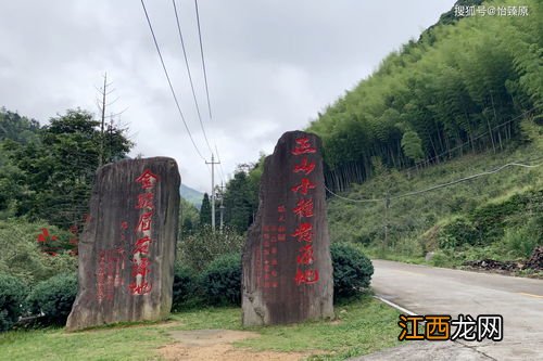 正山堂正山小种怎么选