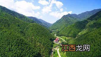 正山堂正山小种怎么选