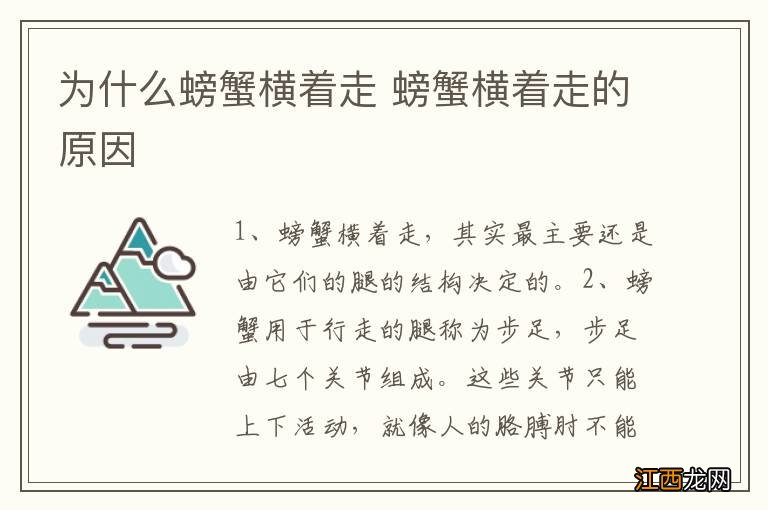 为什么螃蟹横着走 螃蟹横着走的原因