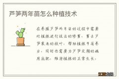 芦笋两年苗怎么种植技术