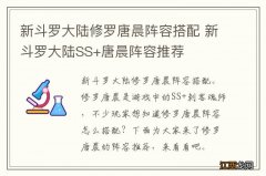 新斗罗大陆修罗唐晨阵容搭配 新斗罗大陆SS+唐晨阵容推荐