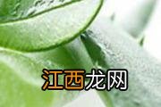 芦荟胶可以当睡眠面膜用吗