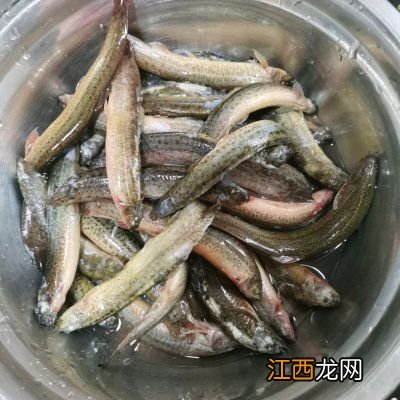 泥鳅腊肉锅怎么做好吃吗