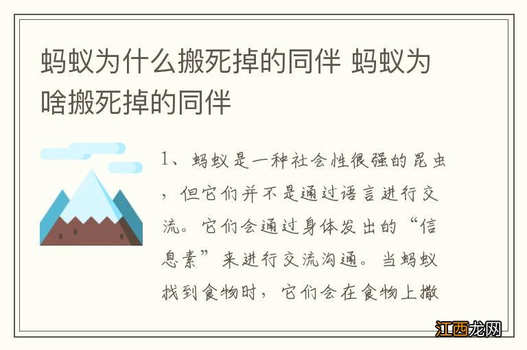 蚂蚁为什么搬死掉的同伴 蚂蚁为啥搬死掉的同伴