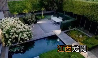 家中小院种什么植物风水好，风水小院适合种植什么植物