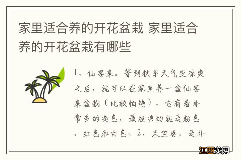 家里适合养的开花盆栽 家里适合养的开花盆栽有哪些