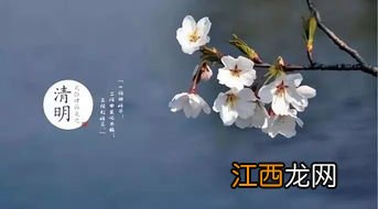 2022杭州清明节下雨吗-杭州清明节天气怎么样