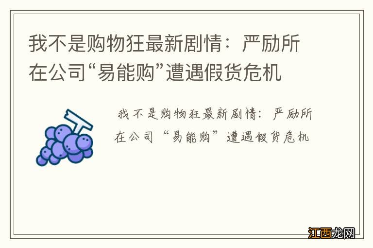 我不是购物狂最新剧情：严励所在公司“易能购”遭遇假货危机