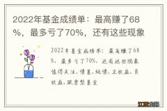 2022年基金成绩单：最高赚了68%，最多亏了70%，还有这些现象值得关注