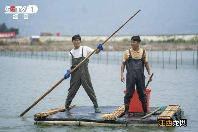 电视剧《那山那海》主角年龄普遍偏大，化妆和染发也掩饰不了尴尬