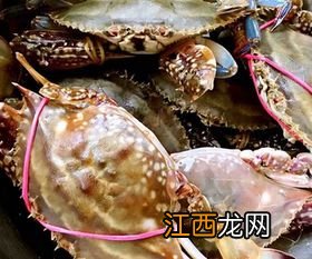 飞蟹蒸大了会什么样