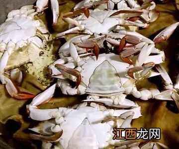 飞蟹蒸大了会什么样