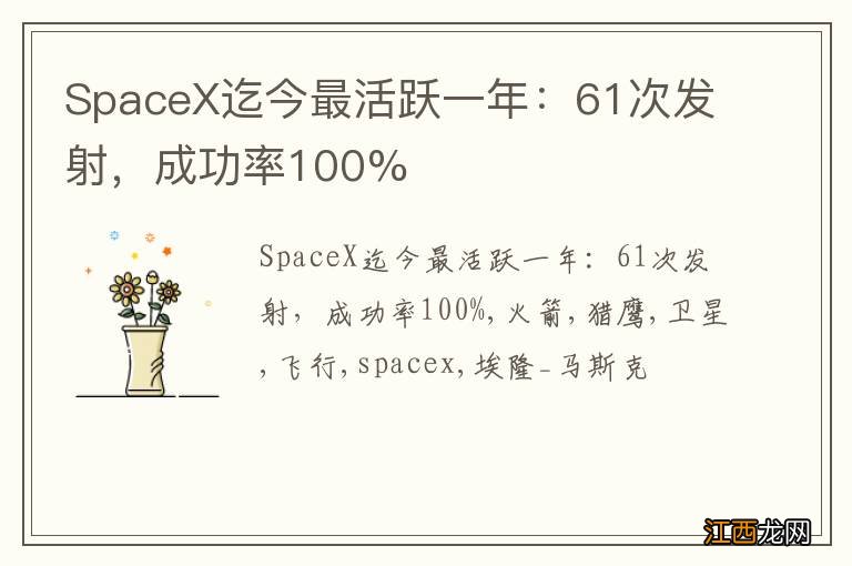 SpaceX迄今最活跃一年：61次发射，成功率100%