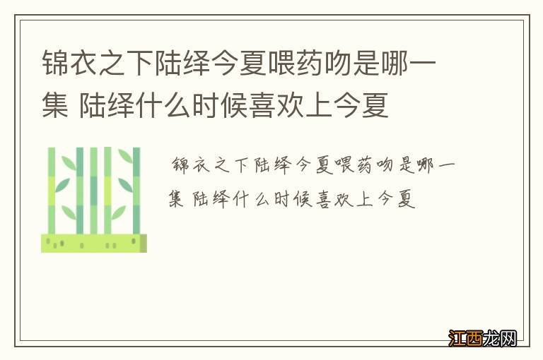 锦衣之下陆绎今夏喂药吻是哪一集 陆绎什么时候喜欢上今夏