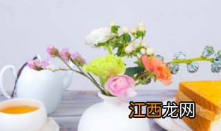 适合家里开花 适合家里开花的树