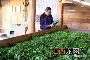 普洱茶杀青不足怎么办